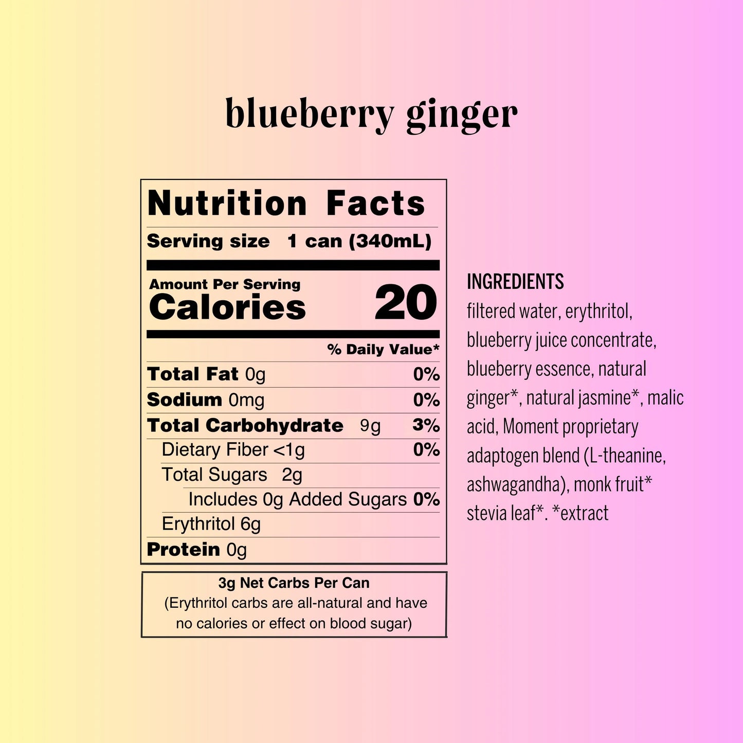 Blueberry Ginger Botanical Water