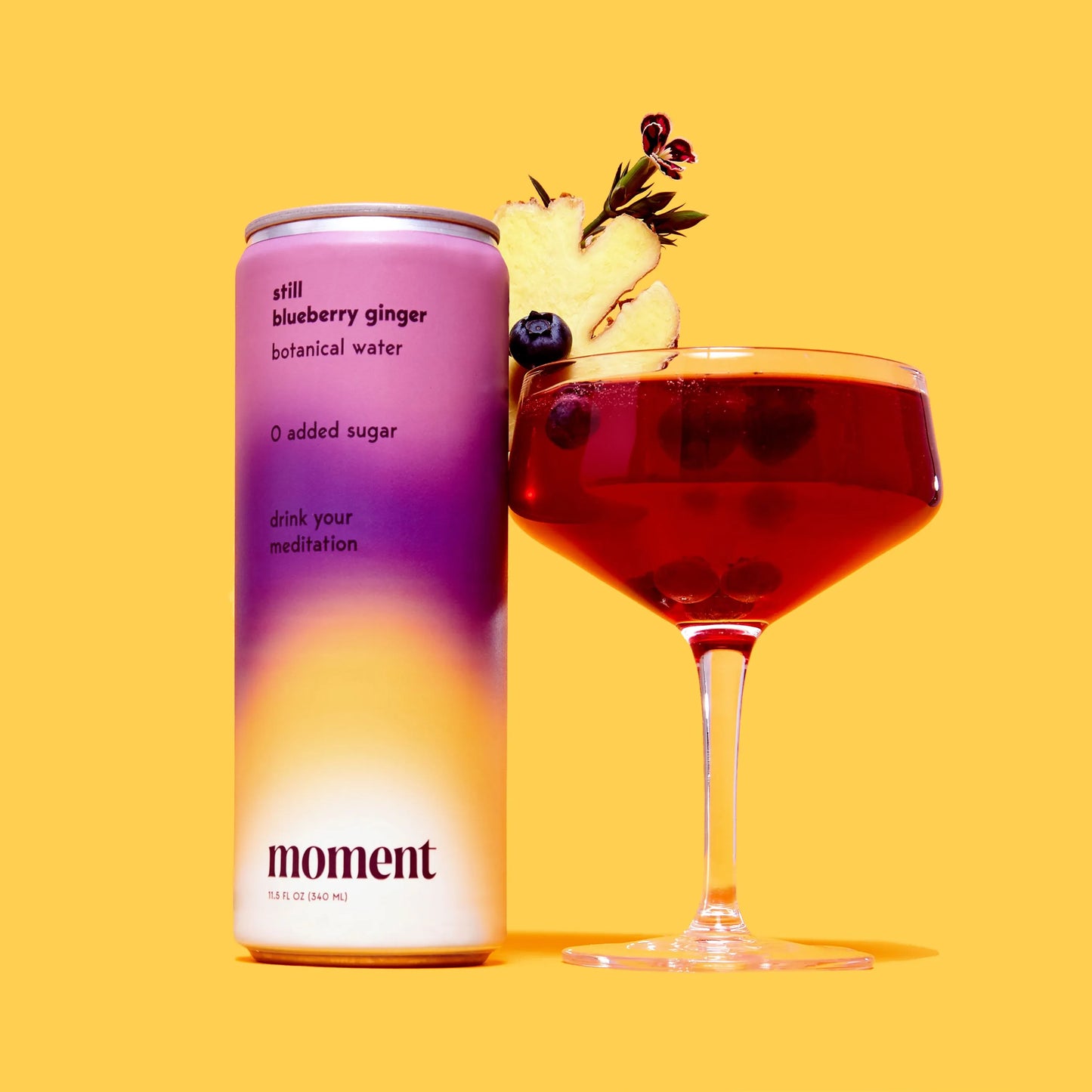 Blueberry Ginger Botanical Water