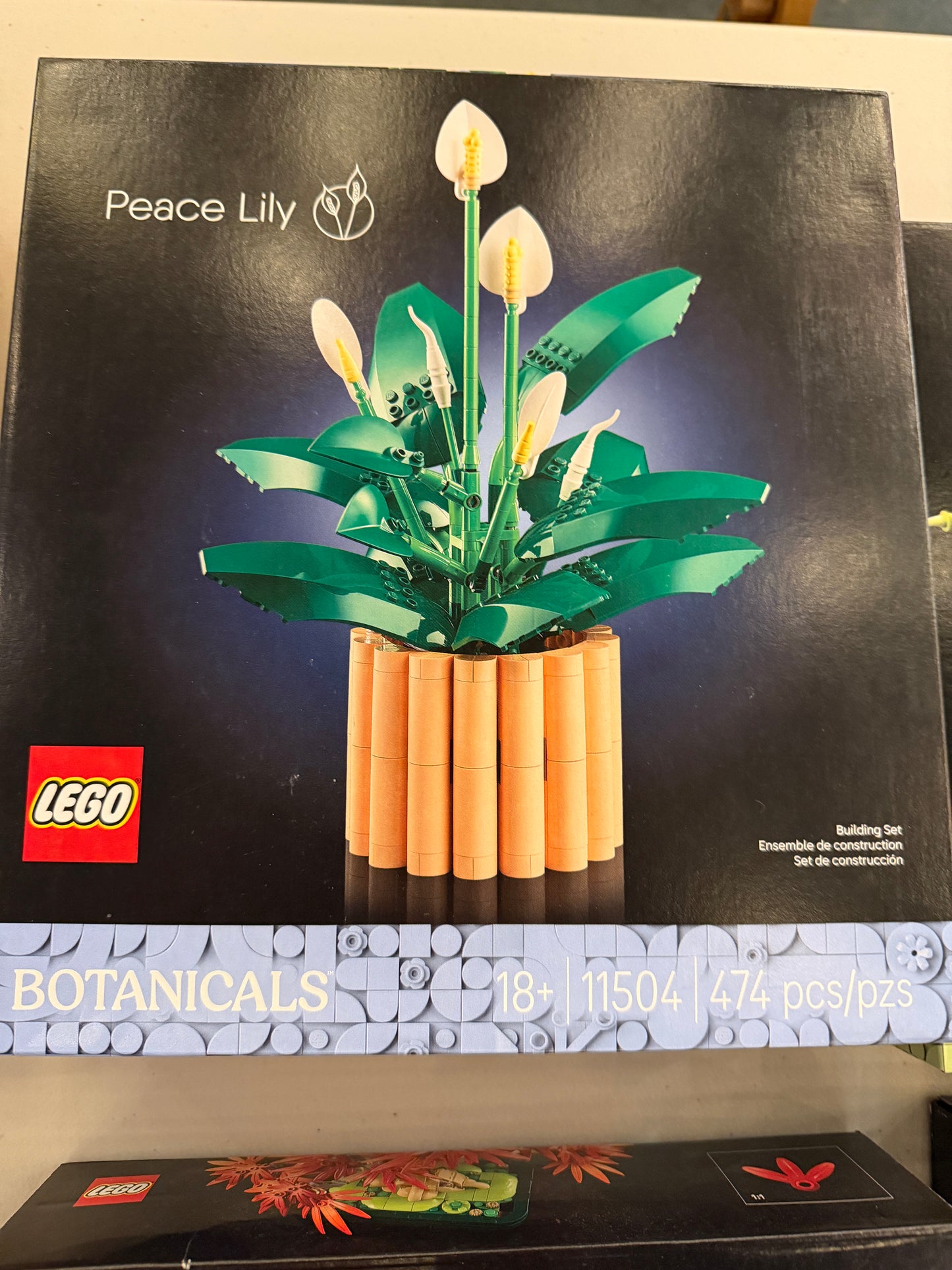 Adult LEGO Building Afternoon 🎟️🧩