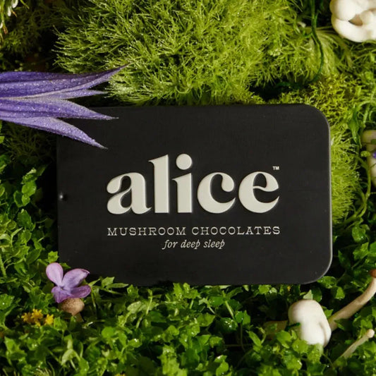 Alice- Night *