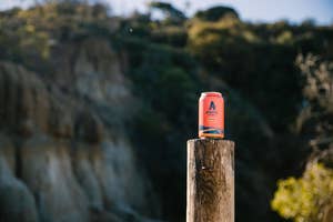 a can of free wave being displayed on a vertical log with a lush cliff in the background